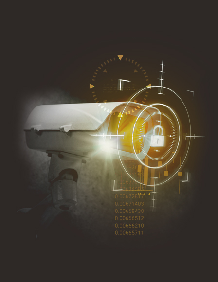 seguridad01